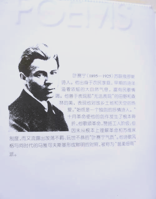 叶赛宁的诗意田园:爱与自然的赞歌