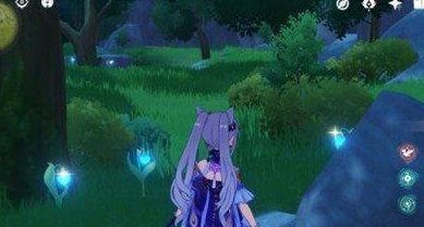 原神celilata含义及获取方法介绍