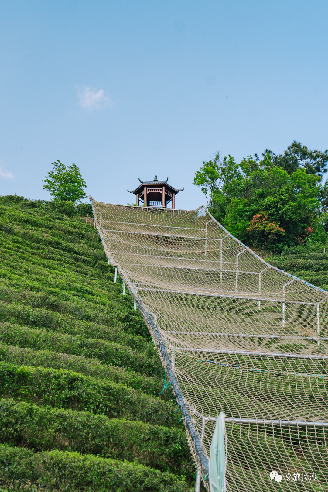 黑麋峰团建图片