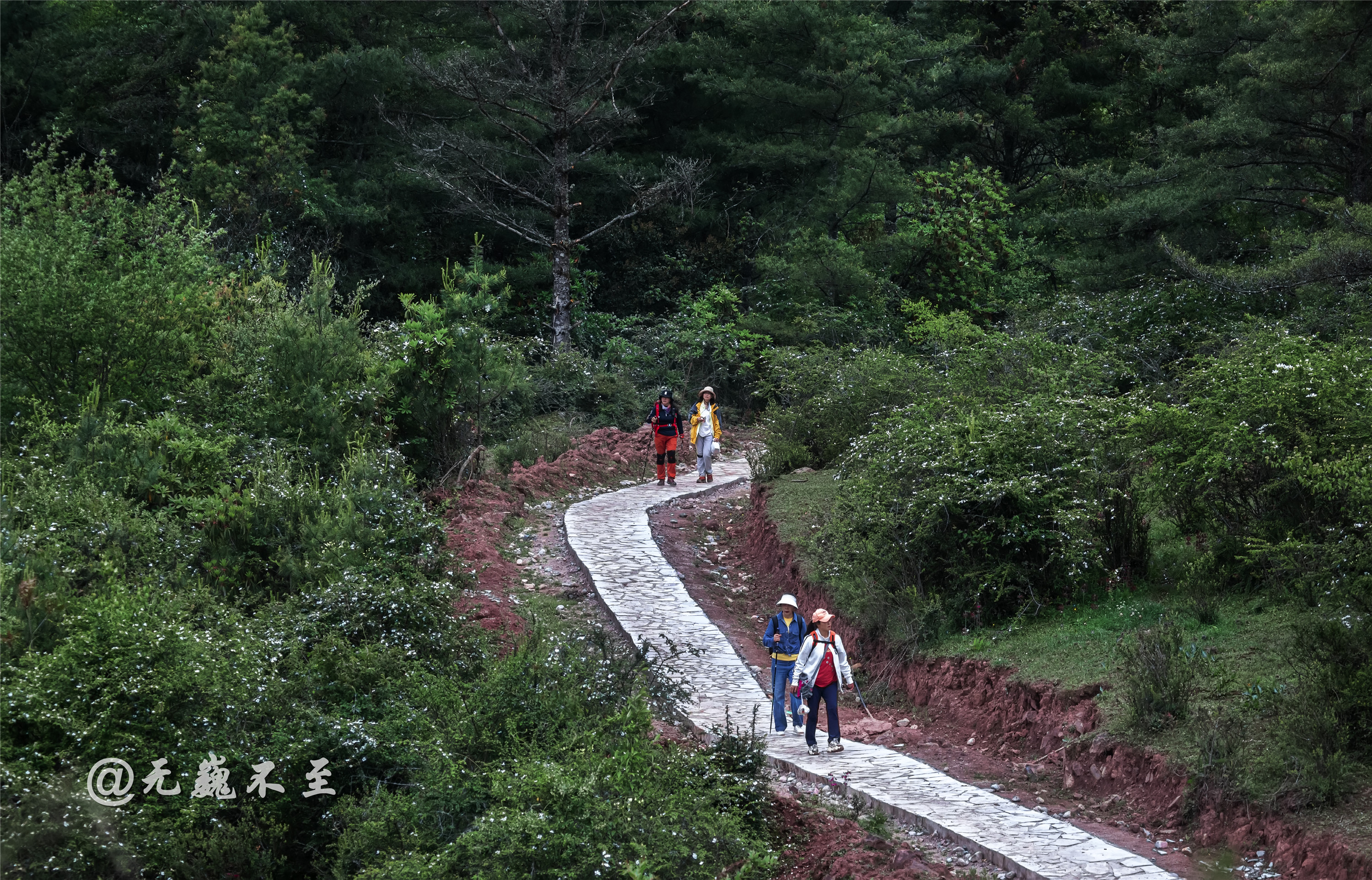 汉源桌子山公路图片