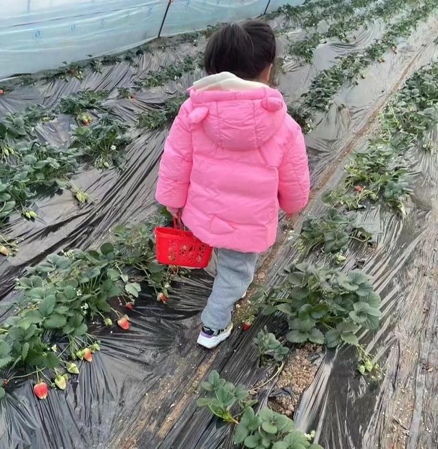 张文采|时间冲刷万物,唯独文化长存一一我与公众号百姓文化视点