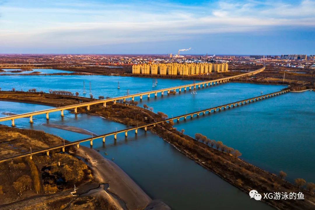 夜色中的盘锦大桥—盘锦的桥之70