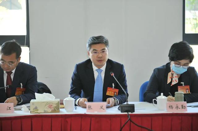 开新局,立潮头,奋进"北转型",陈杰,高奕奕,张义参加代表团分组讨论