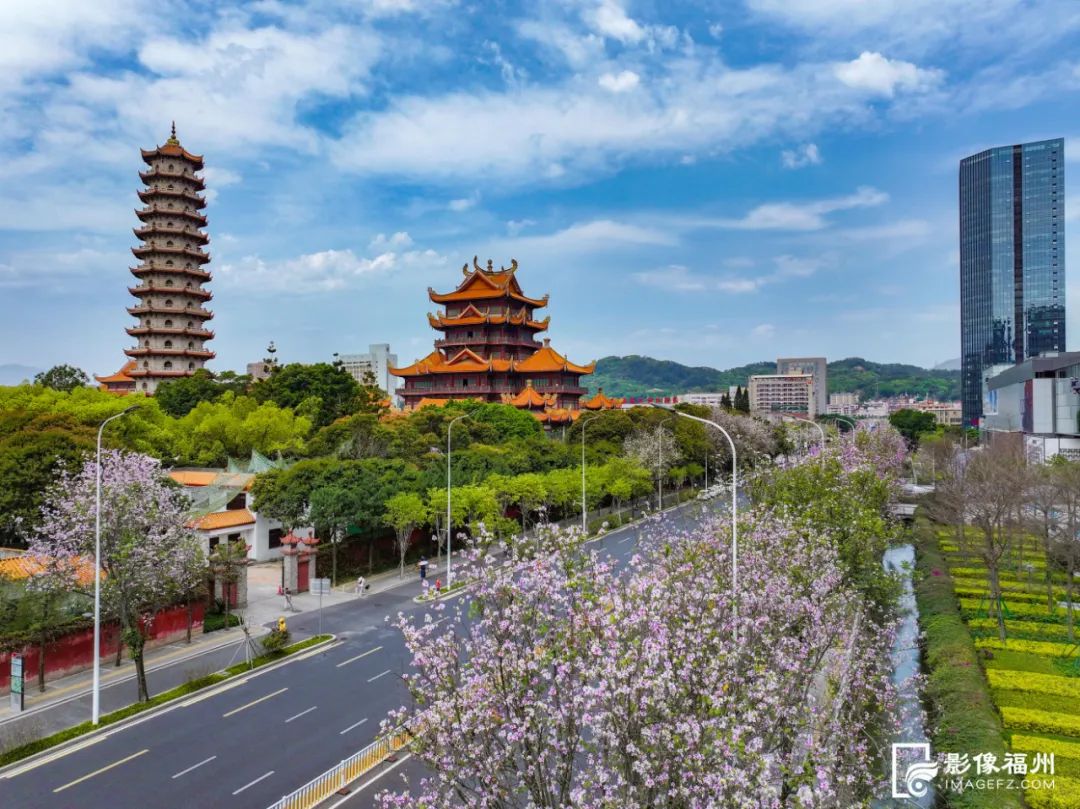 花开了!福州春日追花地图上线!