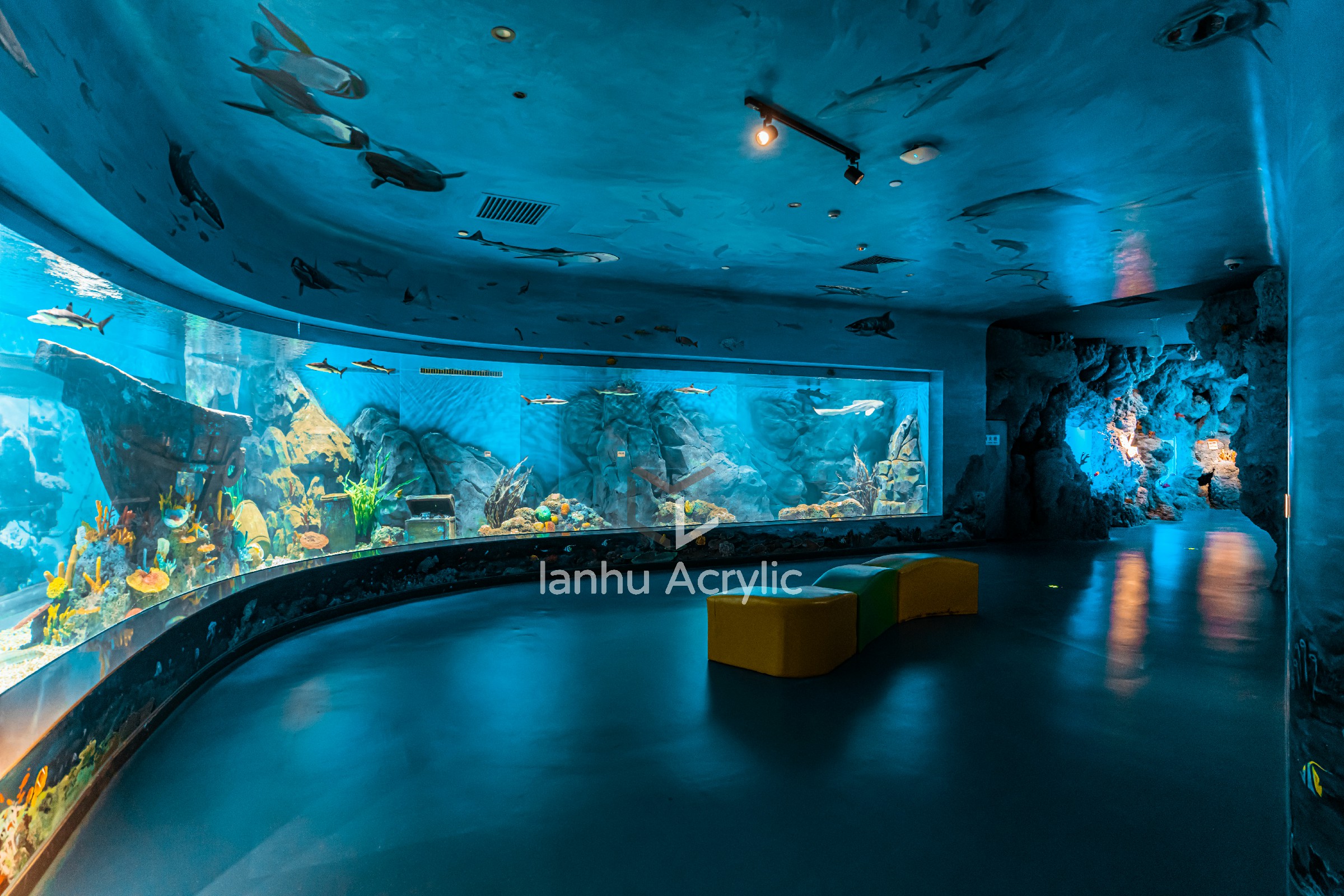 透明美丽:亚克力鱼缸的魅力与优势