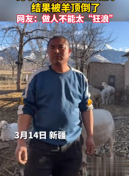 男子镜头前嗨舞被羊顶翻是怎么回事 羊为什么会顶人