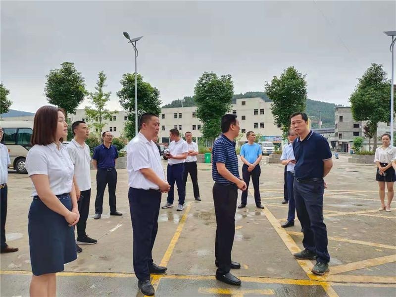 盐亭县委书记向赟调研岐伯实验小学安全工作