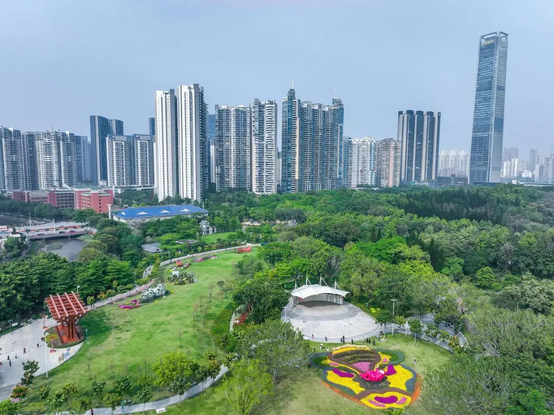 财富密度更是让其他中心区艳羡,仅顺德约11%的面积,贡献了顺德1/4的