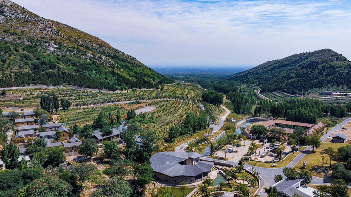 泗水之滨的无边光景——山东泗水县推进乡村振兴一线观察