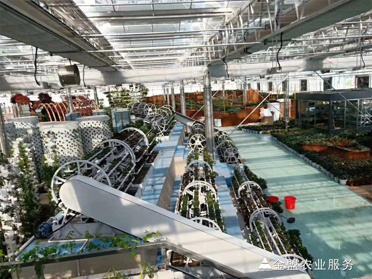 山东无土栽培设计理念