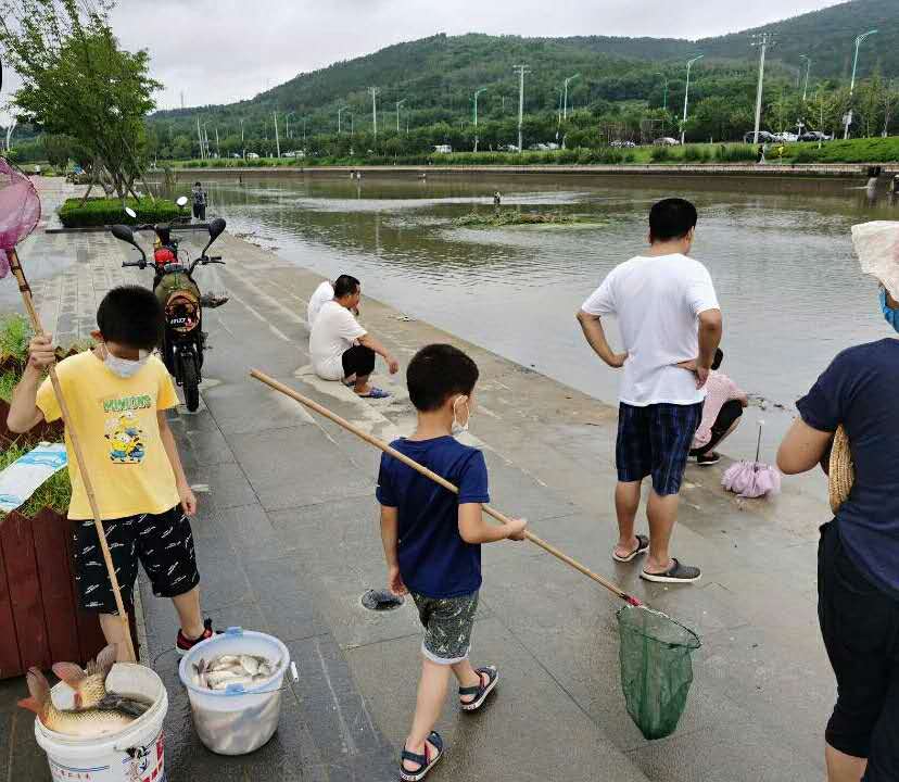 暴雨过后,一群人在旅顺龙河里捞鱼,这是什么操作?