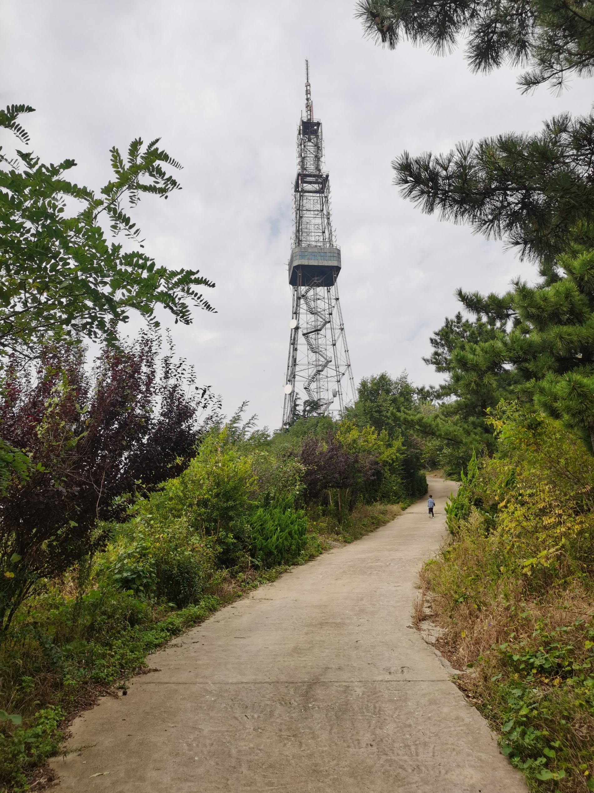 烟台大南山森林公园图片