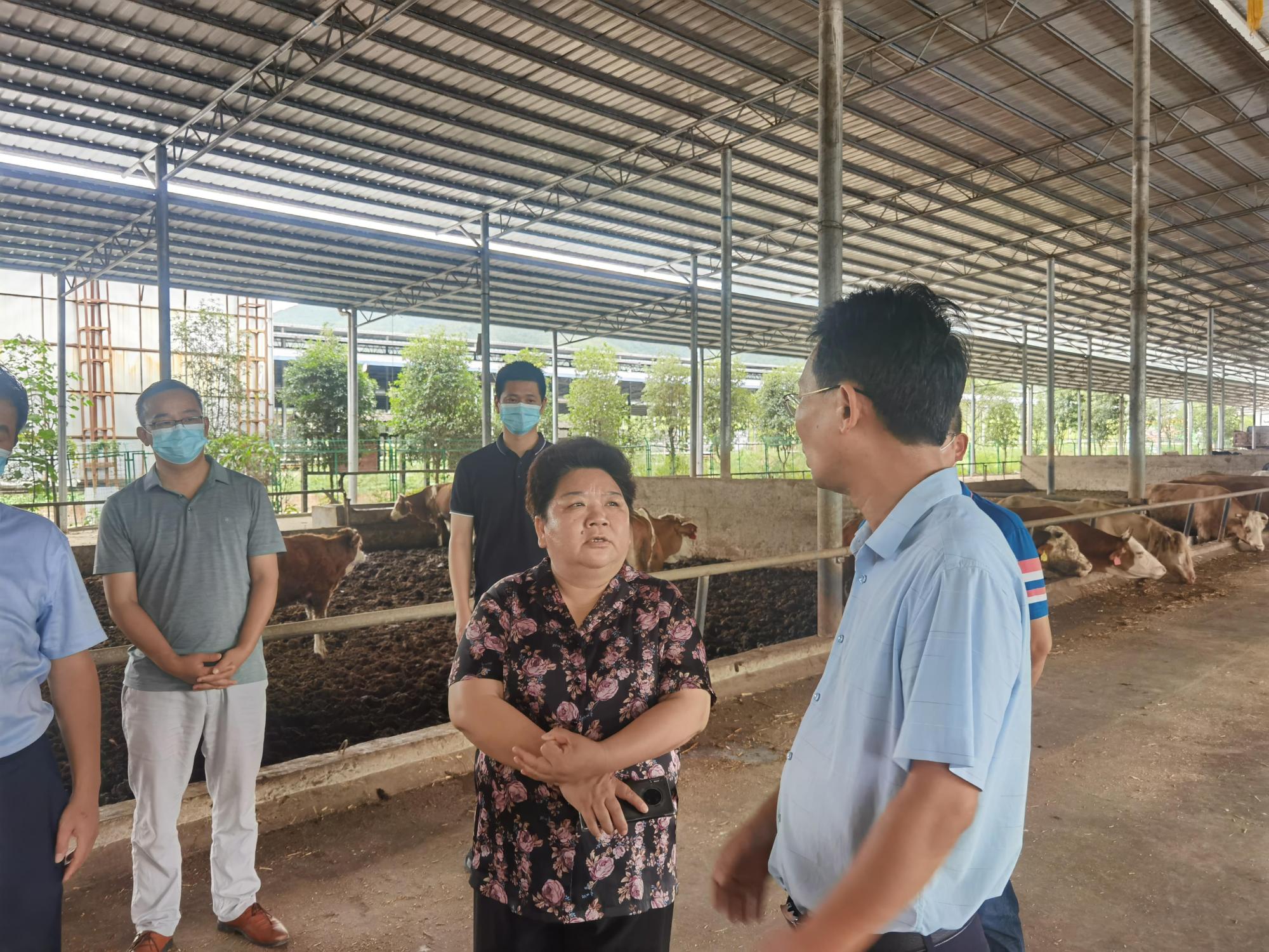 唐慧云深入宁远县调研产业强镇建设工作