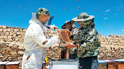 援藏专家为群众讲解养蜂技术