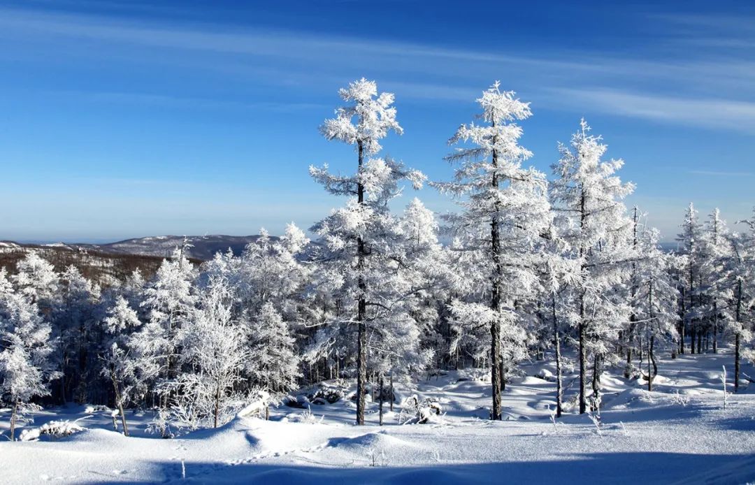 这个冬天,牙克石市实力爆发!