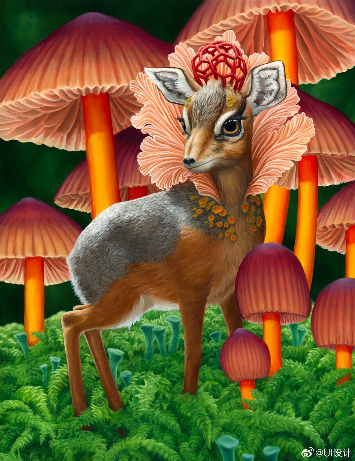 复杂精美动植物插画作品欣赏