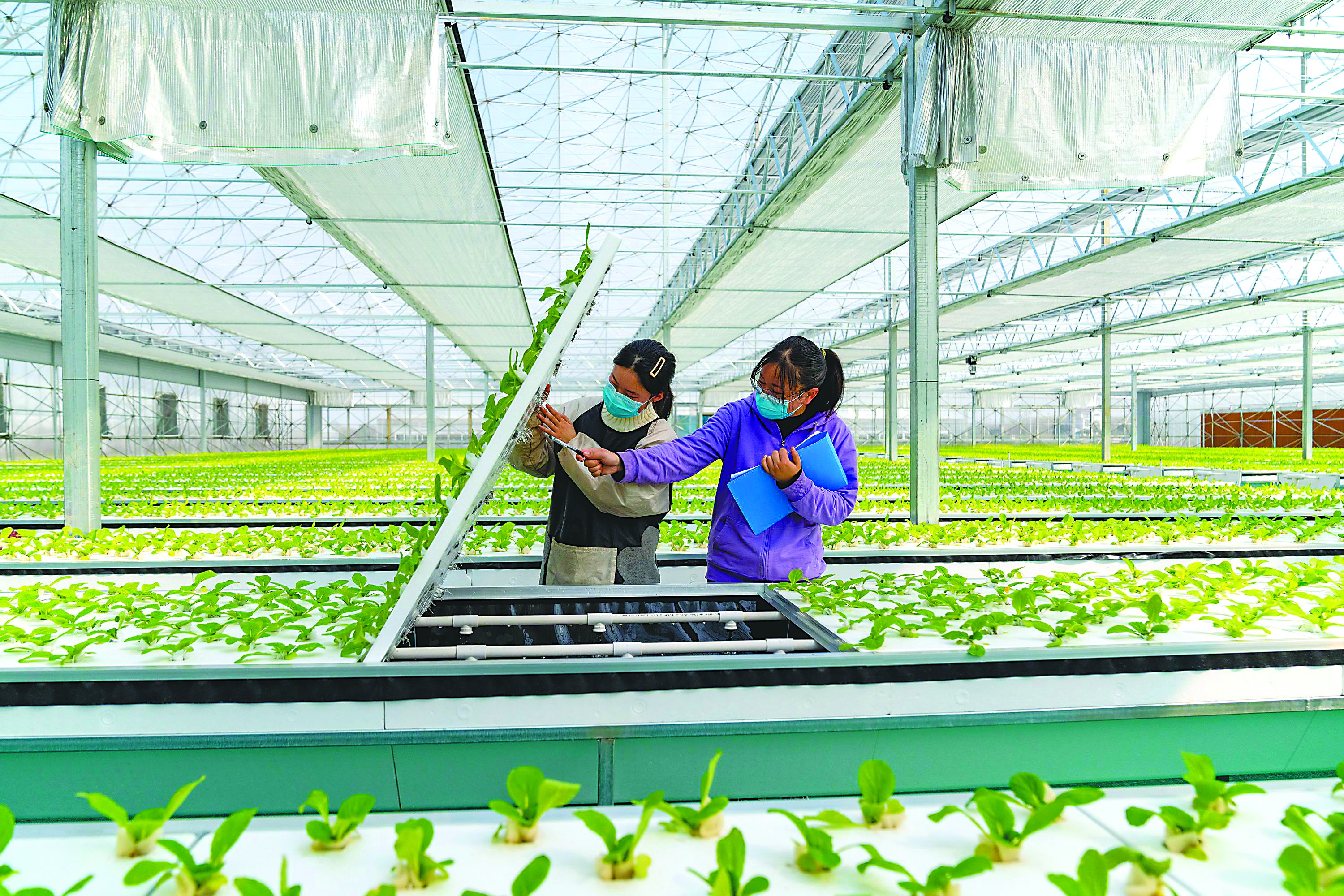 新农人助力"新农业"