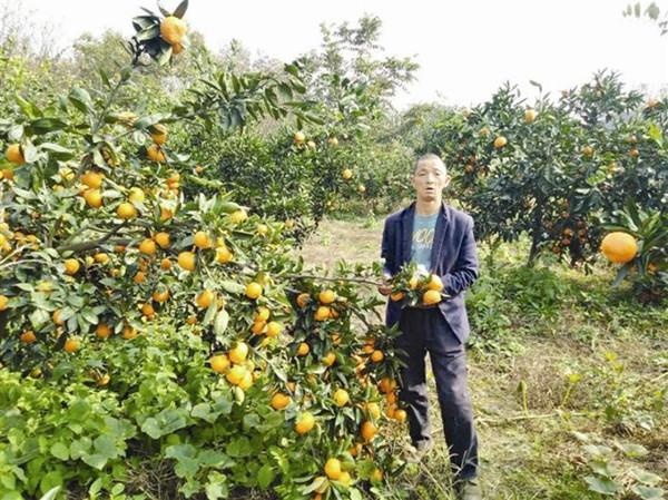 坚韧汉子杨金波撑起一个家