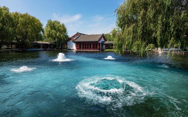 泉水翻腾草木缤纷济南这处冬色秘境步步皆美景看一眼就心醉
