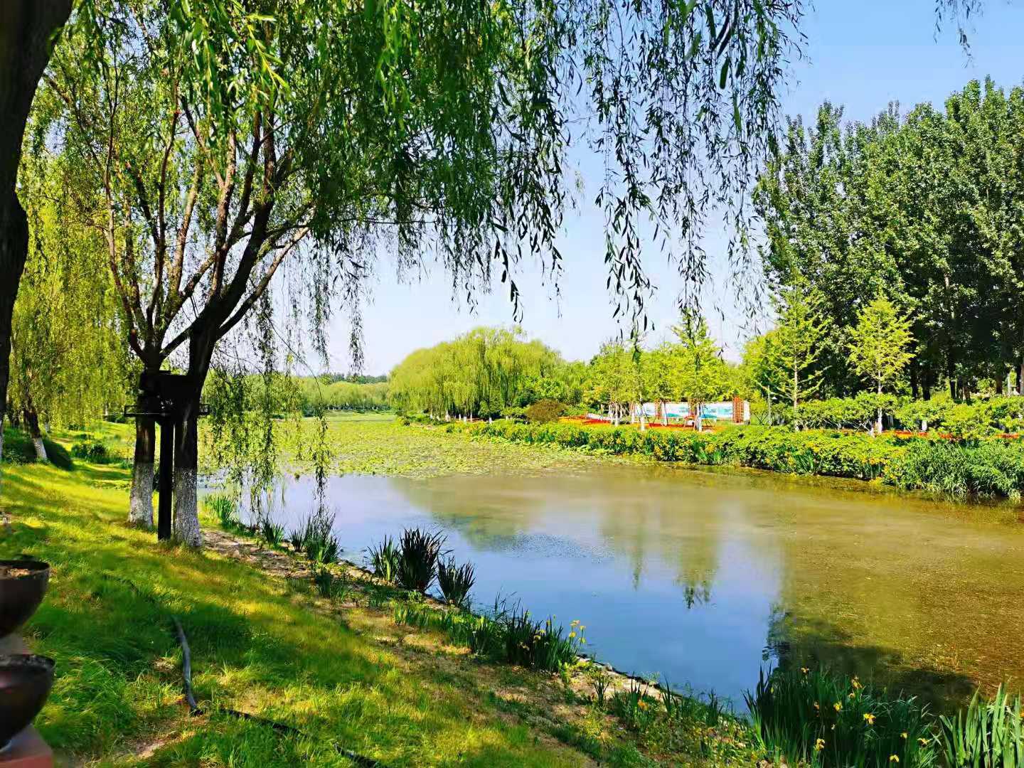 游北京大运河森林公园有感而发