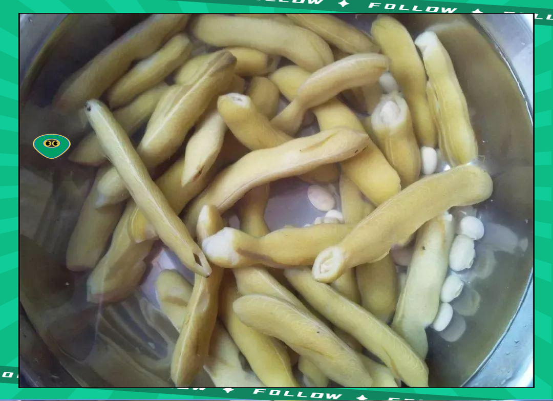 老虎豆:南雄人的美味与健康之选