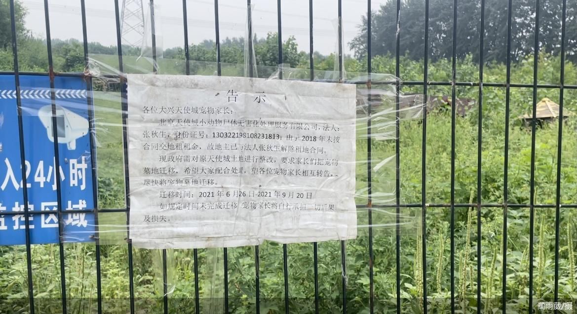 一块上万直逼房价 北京宠物墓地曝问题重重:无资质不处理直接埋