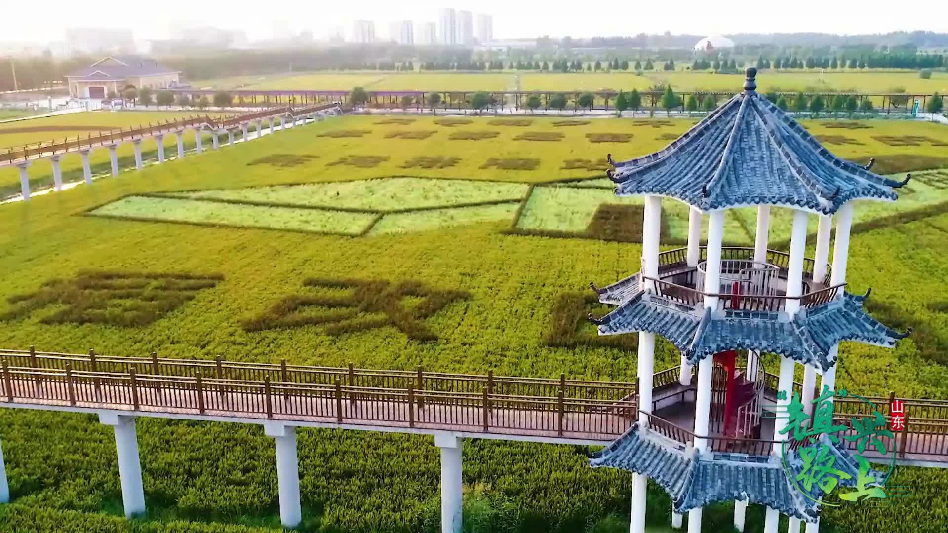 "镇"兴路上丨鱼台县王鲁镇"农旅融合" 推动产业升级促进农民增收