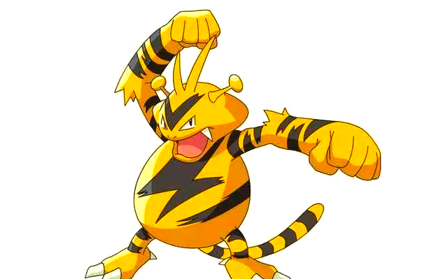 盘点宝可梦中老虎形态的神奇宝贝