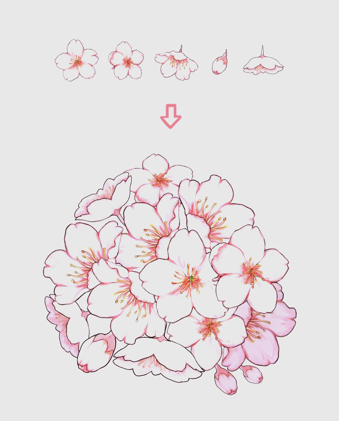 将樱花绘入画中,感受春天的唯美氛围