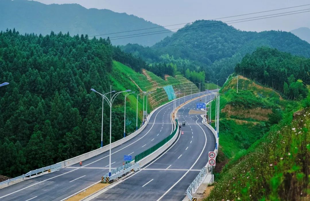 分离式道路实际图图片