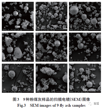 粉煤灰微观结构图片