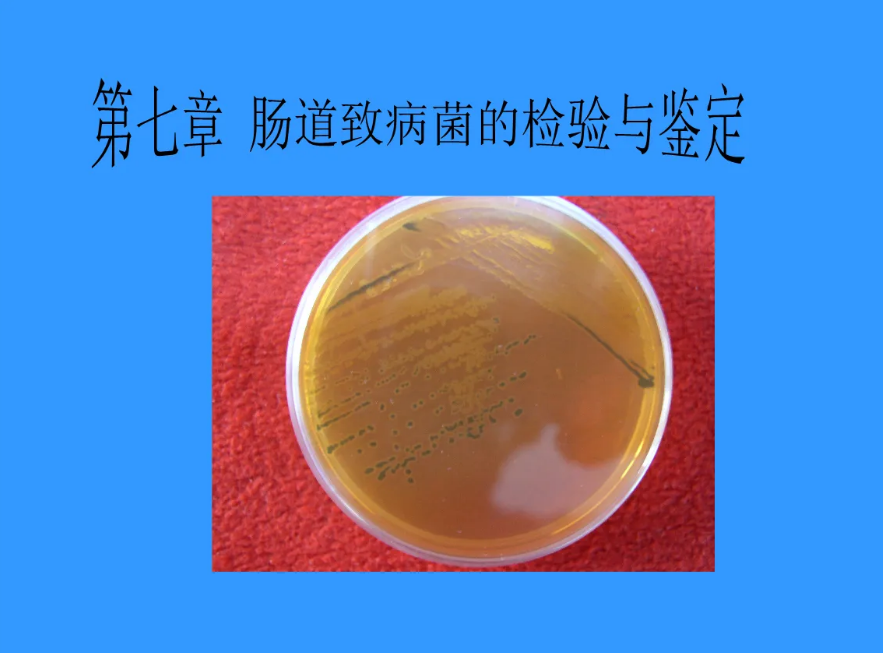 emb培养基是什么培养基