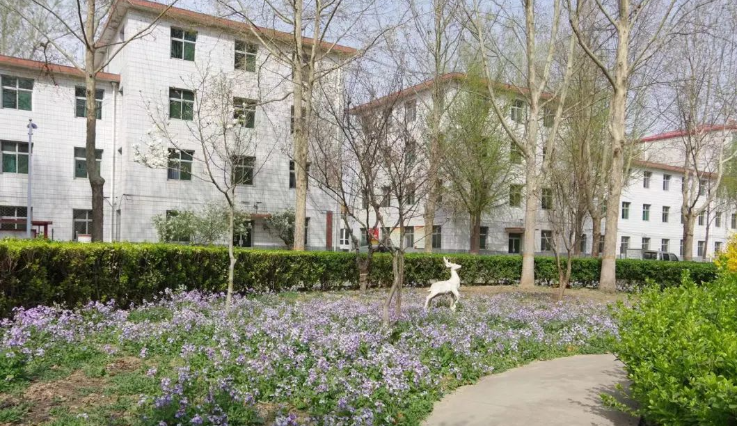 保定幼儿师范高等专科学校单招招生简章有什么专业2023