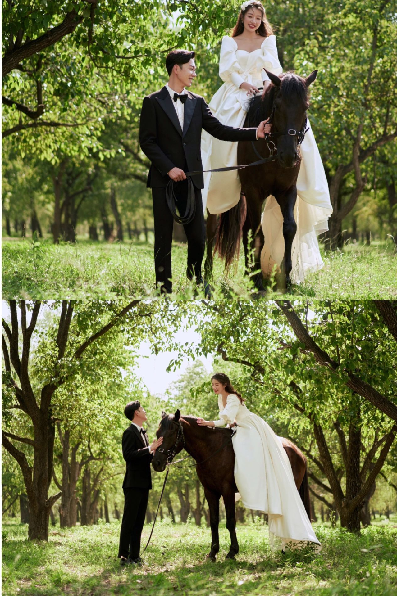 我的森系骑马婚纱照氛围感绝了|出片率100