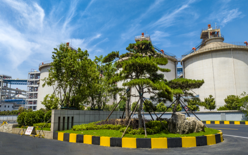 山东港口日照港,国内首家"四星级中国绿色港口"粮食码头!