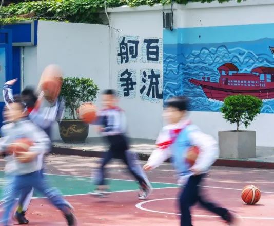 印象同济黄渡小学:刻画世间万物,摹写文化之魂