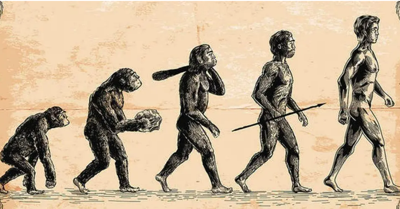 人类为了解放双手,做了哪些牺牲?