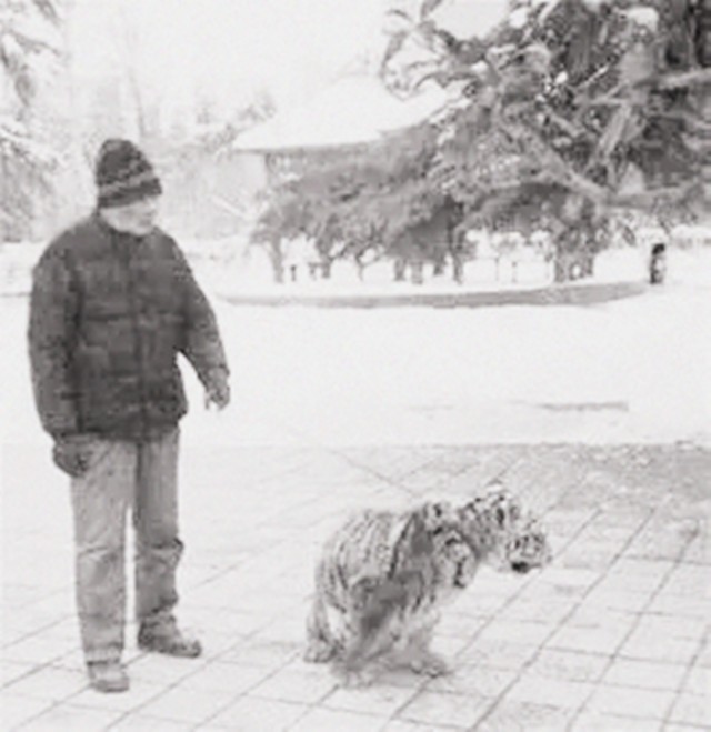 "活武松"何广位:生擒猛虎七只,豹子230只,比武松还牛?