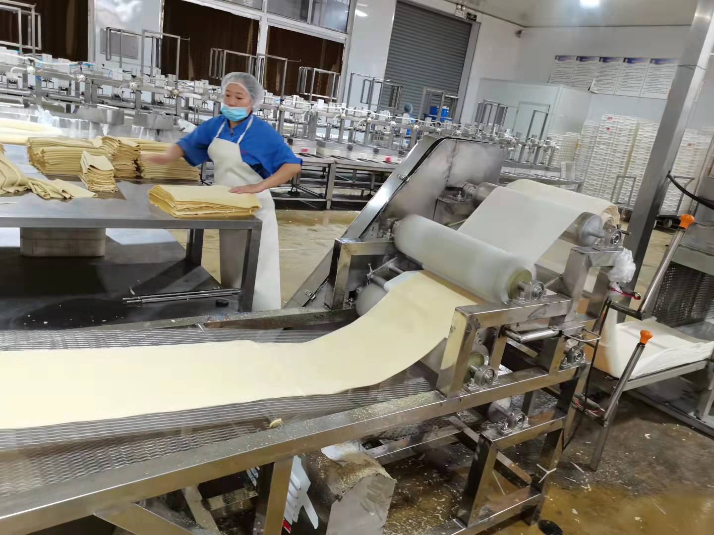 豆皮机的使用优势有哪些