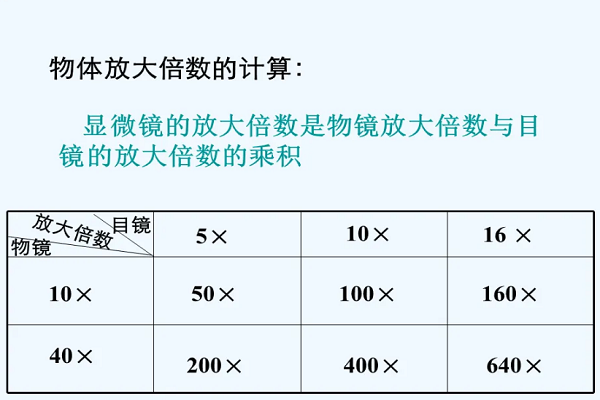 显微镜放大倍数?