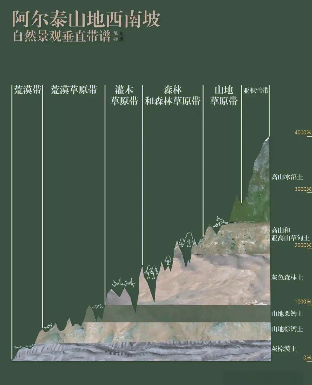 从高山冰雪带的裸岩到森林带的茂密植被,再到草原带和荒漠草原带