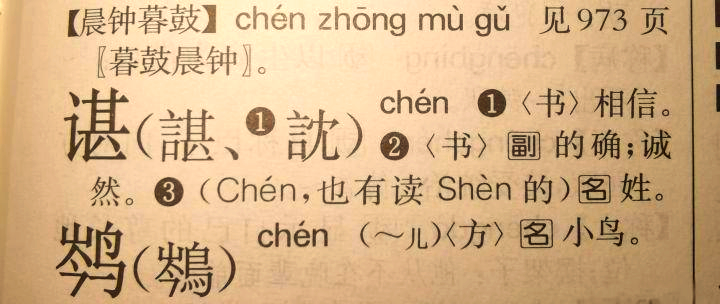 姓氏"谌"字的不同读音及其背后的文化因素