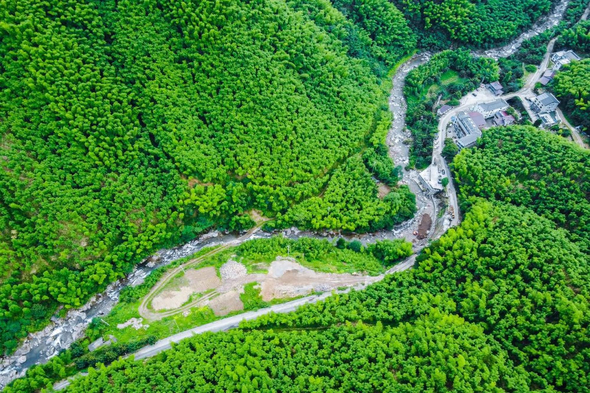 房源介绍「安吉山风竹韵2楼5间」