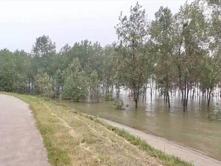 记者直击防汛抗洪:安徽同马大堤