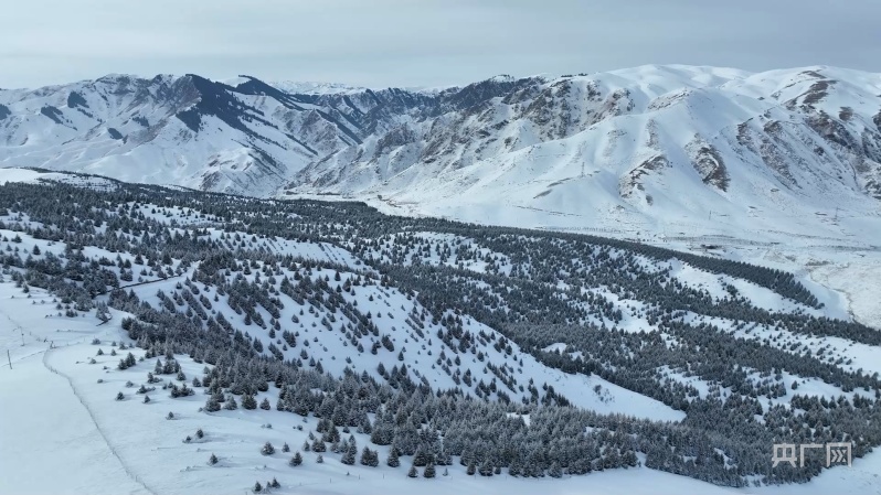 疆山疆水丨新疆特克斯达坂雪景迷人