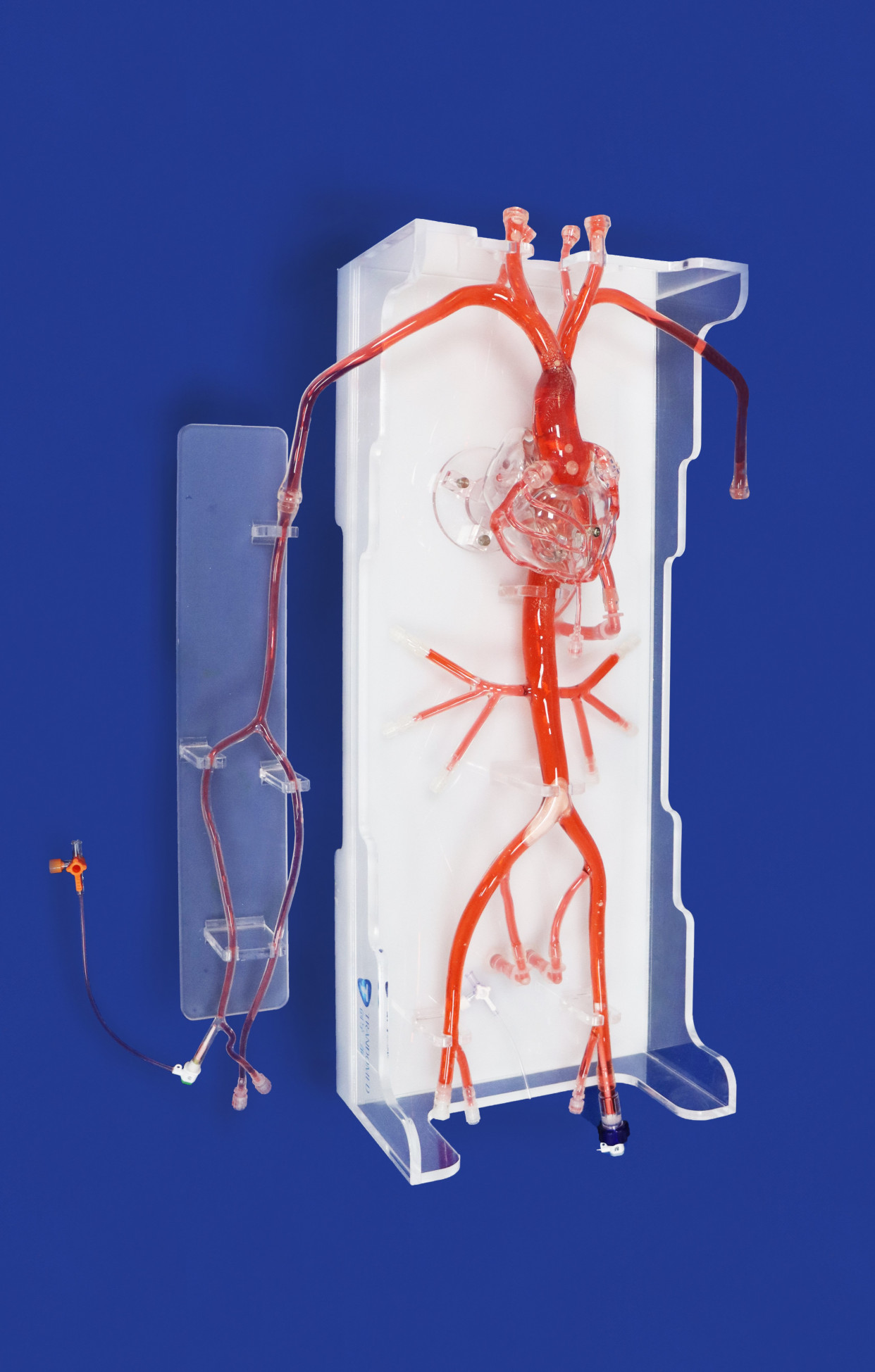 冠脉介入血管模型 高品质模型来自创导三维