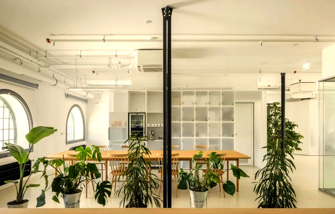 森系办公空间:打造愉悦轻松的办公氛围