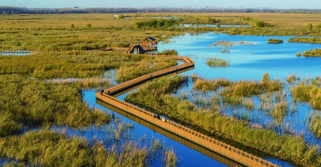 全面通水九周年(四) |  发展之源  南水力量