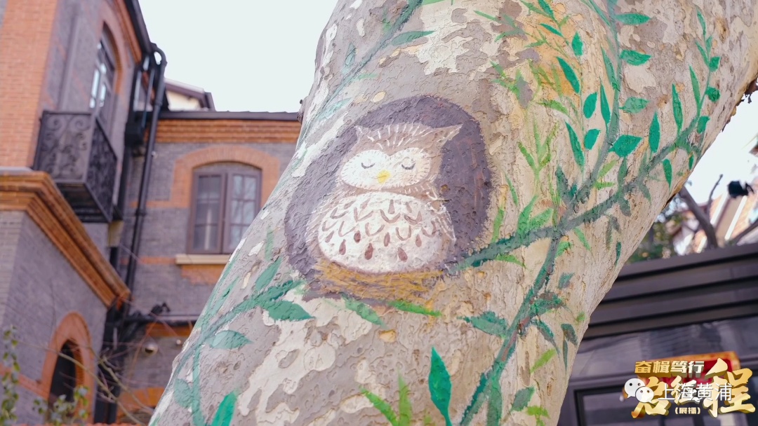 展播|瑞金二路街道:乐享高品质街区生活