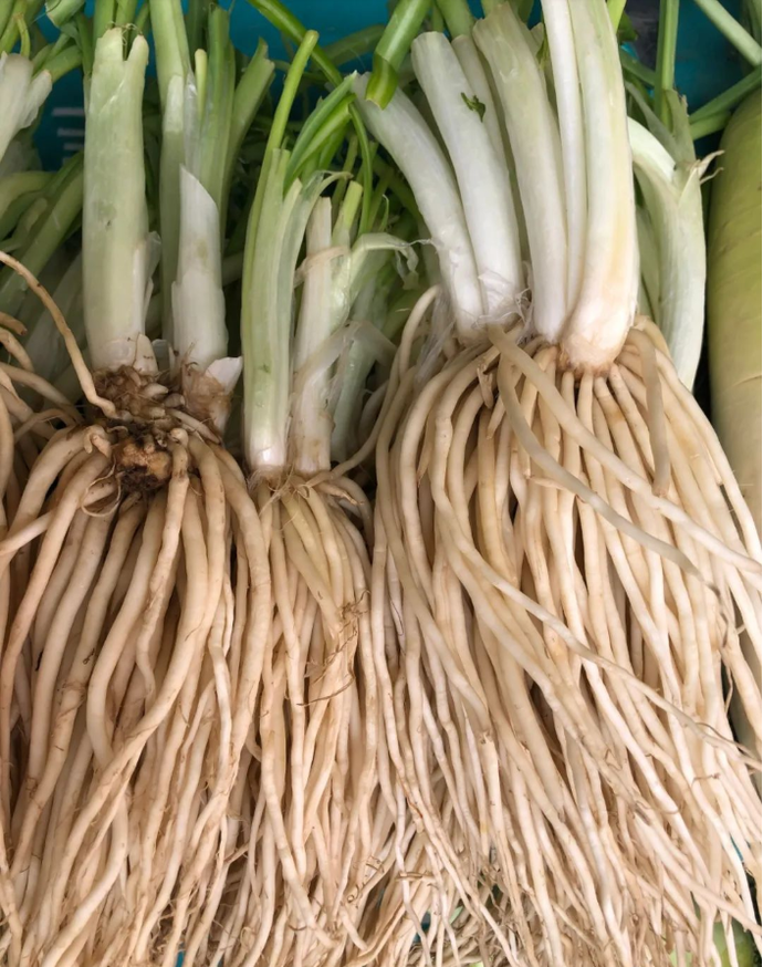 吃在保山:七月,一道爆炸苤菜里的小幸福